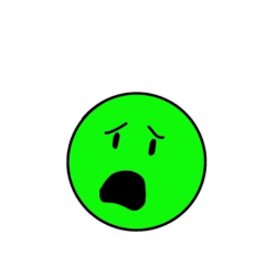 budi